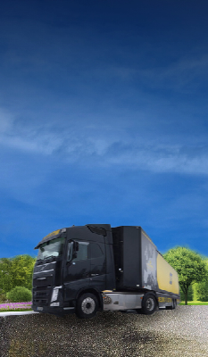 Demobus Background