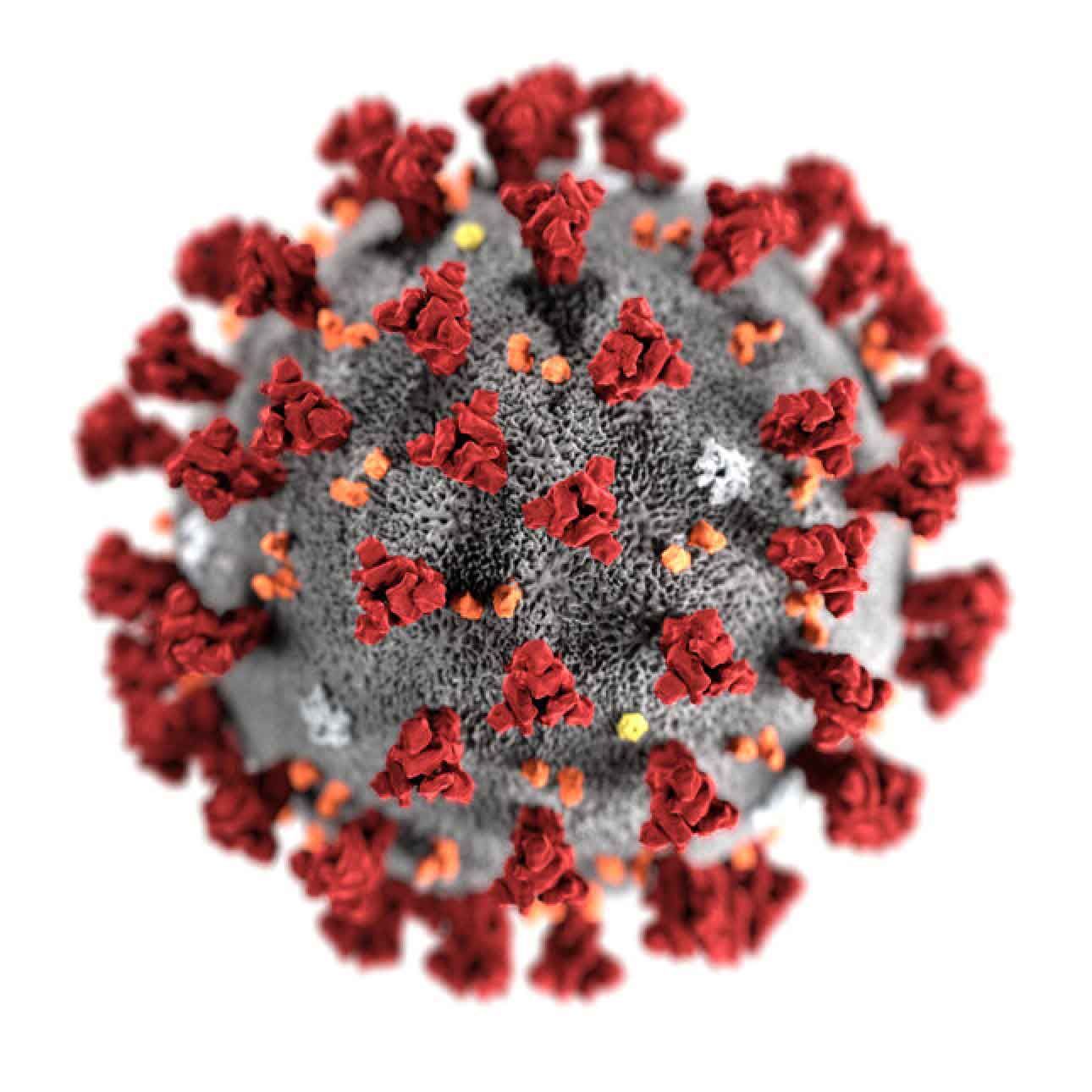 3D illustration of a coronavirus 