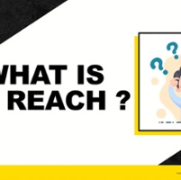 REACH de l'UE